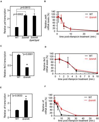 Hfq-Assisted RsmA Regulation Is Central to Pseudomonas aeruginosa Biofilm Polysaccharide PEL Expression